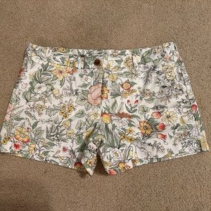 GAP Shorts